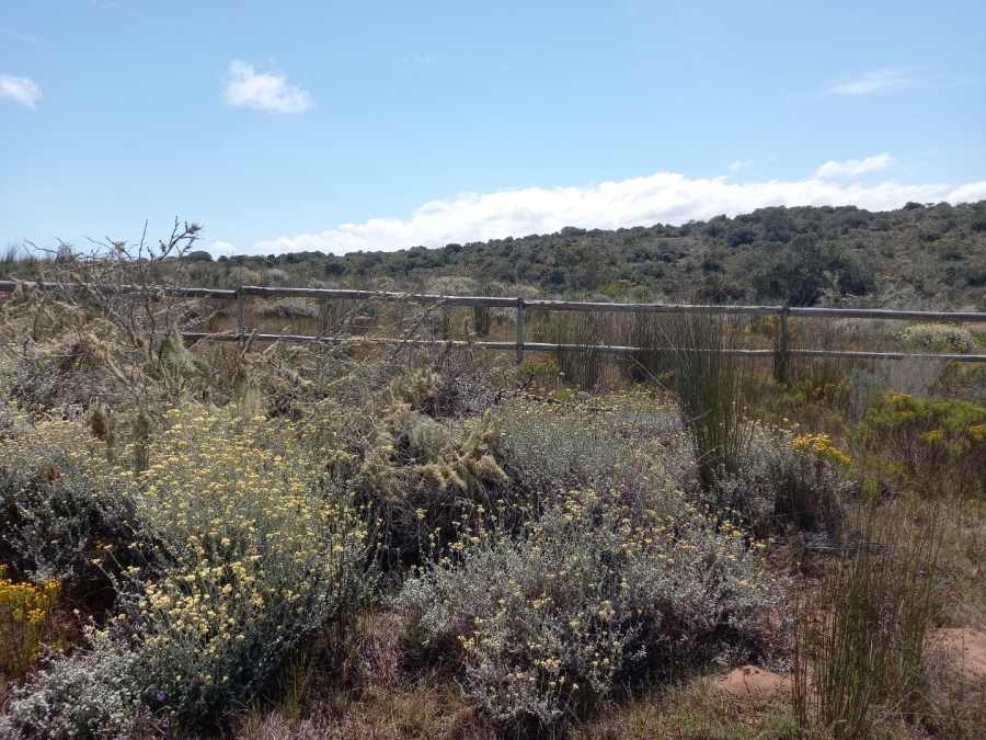 3 Bedroom Property for Sale in Stilbaai Rural Western Cape